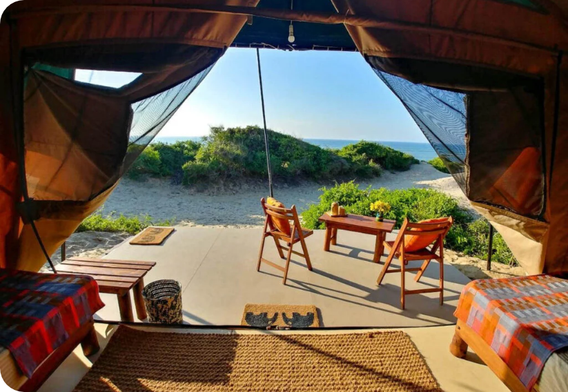 LOCAL ECO-BEACH LODGES